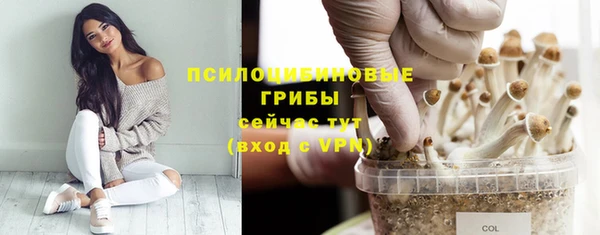 первитин Красноперекопск