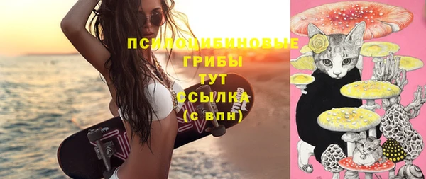синтетический гашиш Костерёво