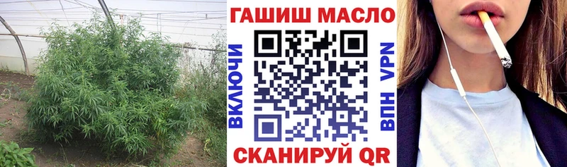 Купить закладки Лянтор ТГК гашишное масло
