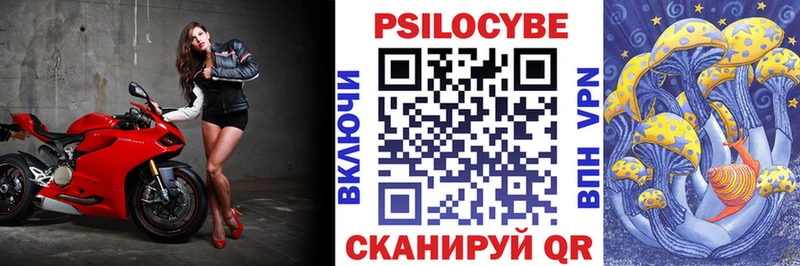 Купить где  Лянтор  Галлюциногенные грибы Psilocybe 